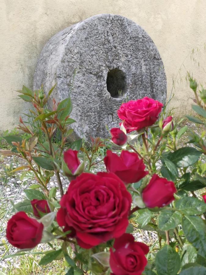 Il Giardino Di Julia B&B 托尔托拉 外观 照片