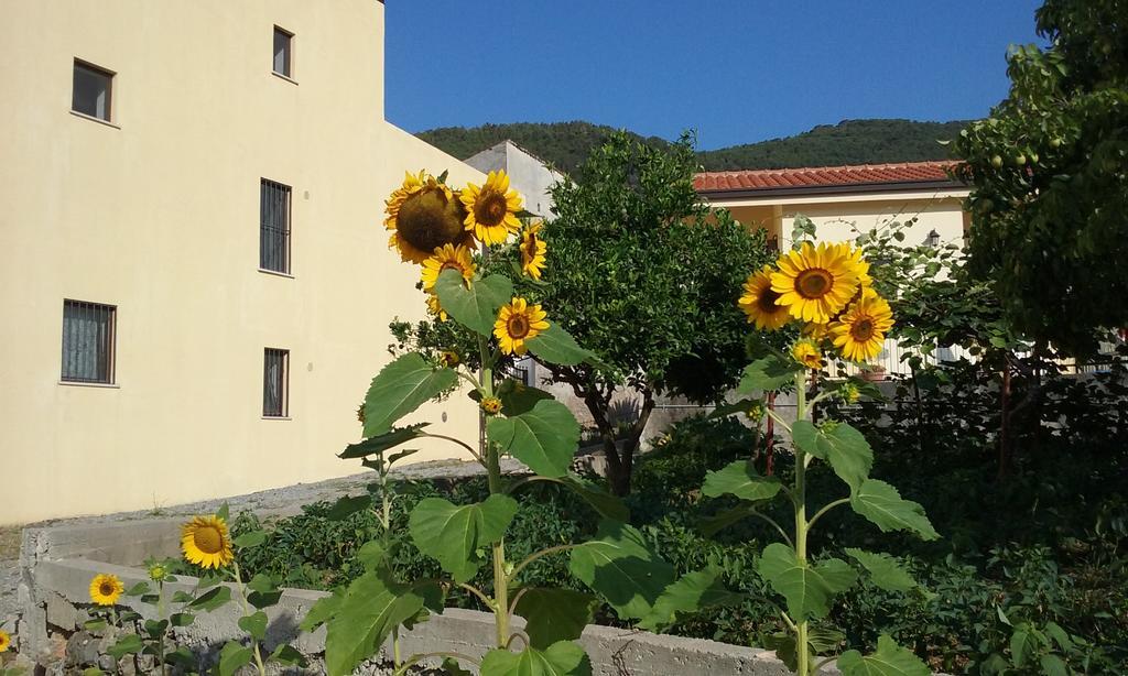 Il Giardino Di Julia B&B 托尔托拉 外观 照片