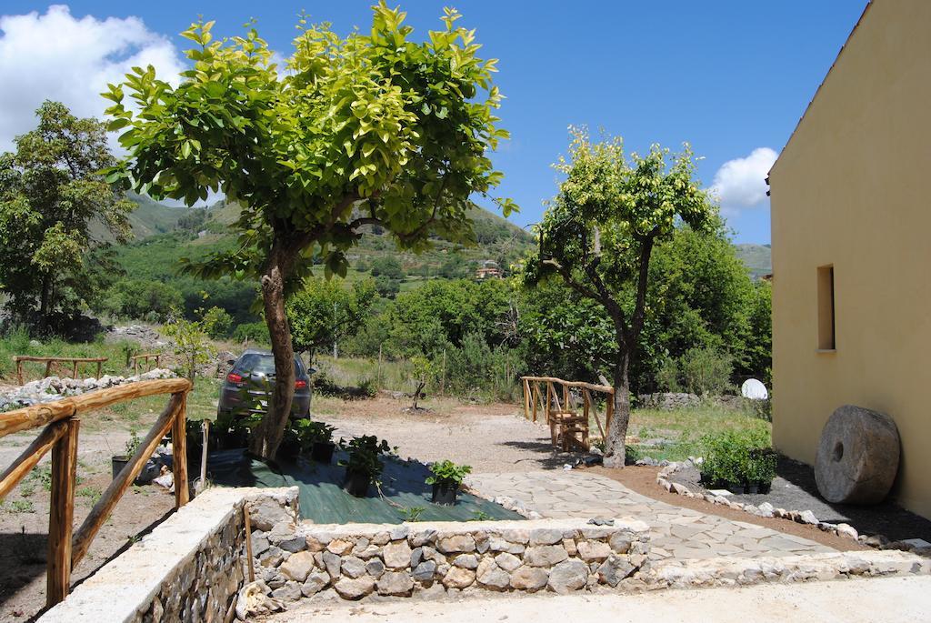 Il Giardino Di Julia B&B 托尔托拉 外观 照片