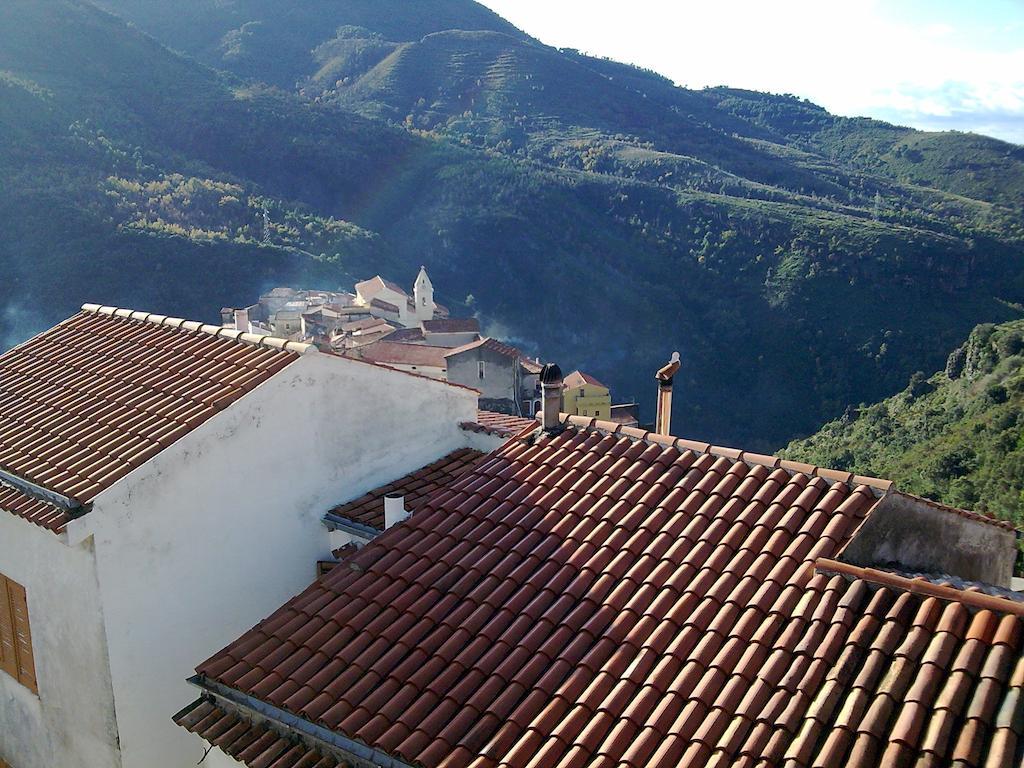 Il Giardino Di Julia B&B 托尔托拉 外观 照片