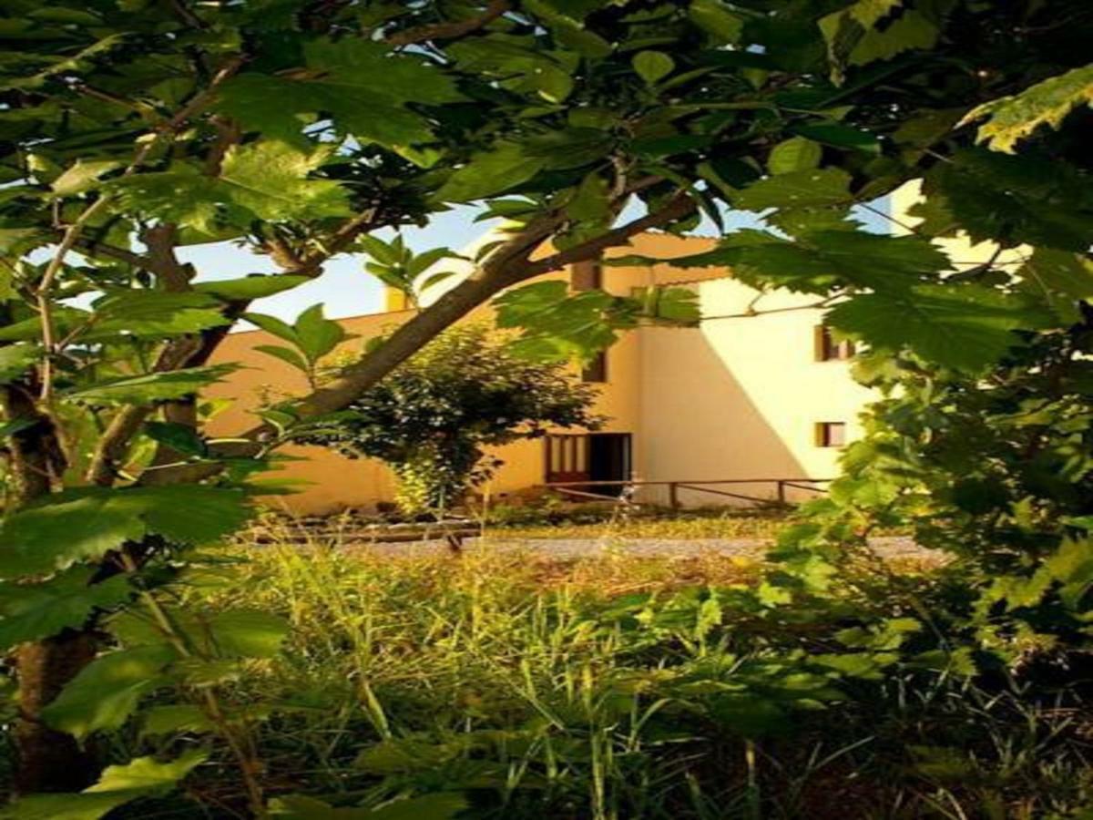 Il Giardino Di Julia B&B 托尔托拉 外观 照片