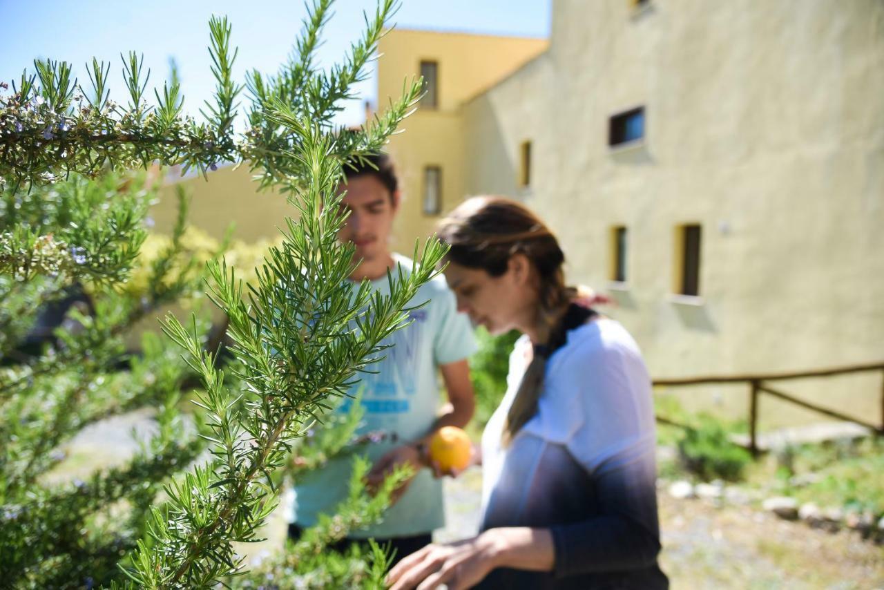 Il Giardino Di Julia B&B 托尔托拉 外观 照片