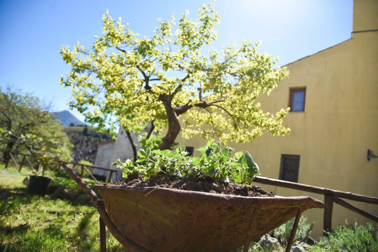 Il Giardino Di Julia B&B 托尔托拉 外观 照片