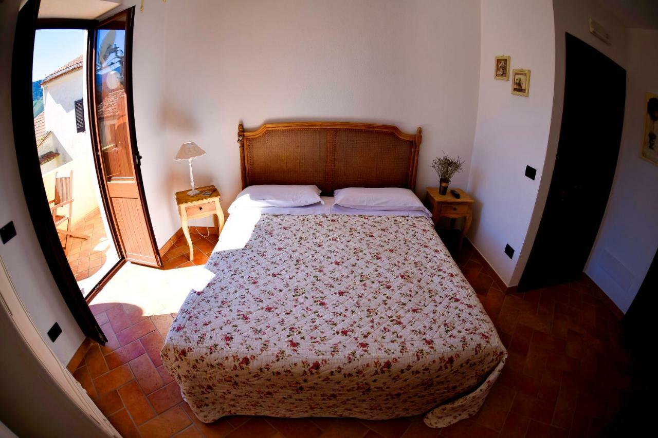 Il Giardino Di Julia B&B 托尔托拉 外观 照片